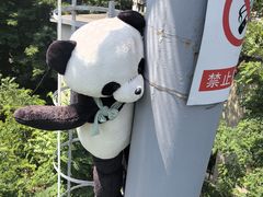 -富斯特索道