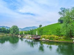 -帐篷客·溪龙茶谷度假酒店