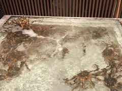 -蟹将军·松叶蟹和牛日料放题自助(K11店)