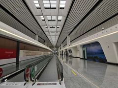 -LV路易威登(大兴国际机场店)