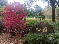 -福建鲤鱼洲酒店