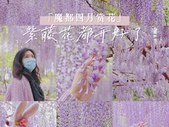 -嘉定紫藤园