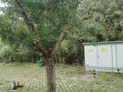 -龙潭水乡