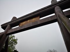 -龙井村
