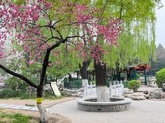 -宣武艺园