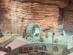 -正佳雨林生态植物园