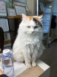 -HUII NAIL绘京美甲美睫会馆