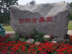 -御林古桑园