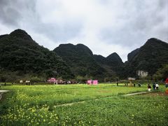 -靖西鹅泉风景区