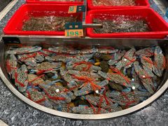 -聚福宝合苑食府(南头镇店)