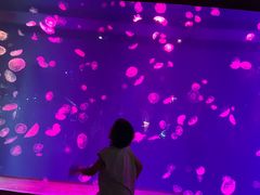 -华夏文旅西安度假区