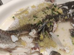 -勝記酒家·37年老字号·经典粤菜(荔枝公园店)
