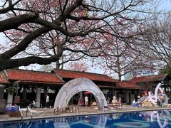 -喜洲吧·江畔老船厂·庭院餐厅(喜临院店)