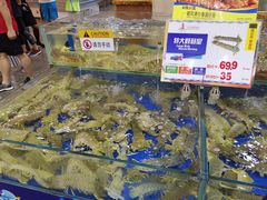 水产区-东江海鲜酒家(艺都分店)