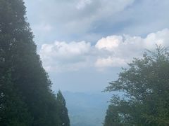 -江西阳明山国家森林公园