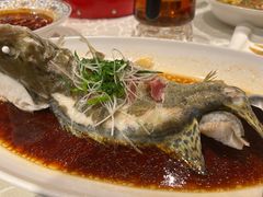 -蔡府家宴(699店)