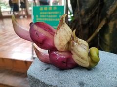 -云溪植物园