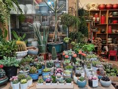 -双季花艺园艺市场(浦东店)