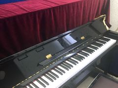 -弘智卉艺术教育/高端琴房(中央音乐学院店)