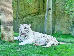 -北京野生动物园