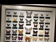 -上海昆虫博物馆