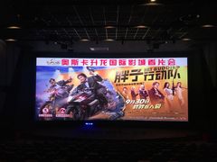 -奥斯卡升龙国际影城(RealD Cinema)
