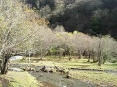 -叠溪松坪沟景区