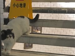 大堂-俏湘私房菜(国贸店)
