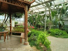 -石家庄市植物园