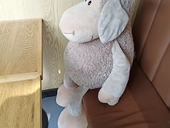 -ZOO COFFEE动物园咖啡(望京锐创店)