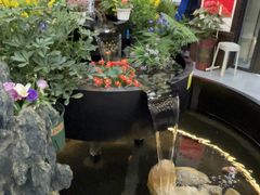 -九寨沟石锅鱼(沣峪口二十年店)