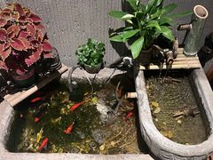 -耍盆友·重庆江湖菜(百子湾店)