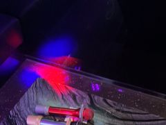 -魅KTV·AI辅唱(福雷德广场店)