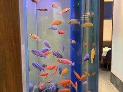 -半勺·新徽菜(银泰城店)