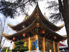 -上海东林寺(金山区)