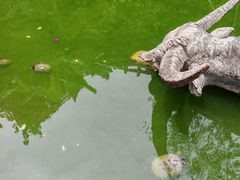 -燊海井