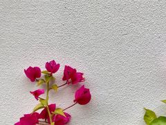 -千峡湖生态旅游度假区