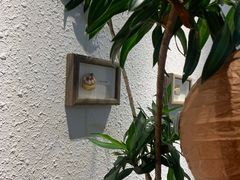 -Kekimatata 生日蛋糕·烘焙教学