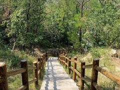 -白水寺森林公园