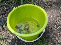 -碓臼峪自然风景区