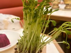-第六季自助餐厅(甜水园店)