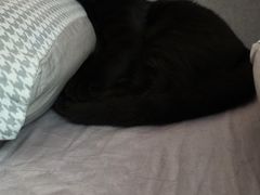 -阿甘锅盔(合生汇购物中心店)