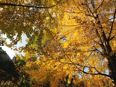 -食膳公园包子铺(烈士公园店)