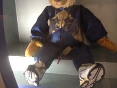 -济州岛泰迪熊博物馆