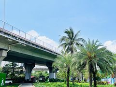 -中澳友谊花园