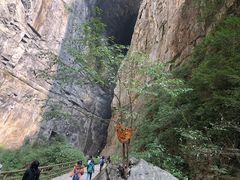 -重庆武隆天生三桥风景区-神鹰天坑