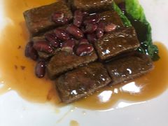 -东鸽皇(奥园·中环广场店)