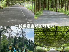 -东平国家森林公园