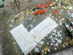 -瑞虹新天地月亮湾