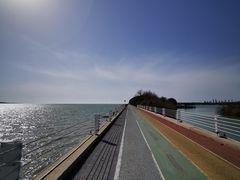 -贡湖湾湿地公园